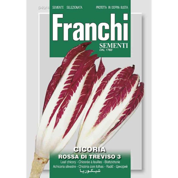 Image de Graines chicoree cicoria rossa di treviso - Franchi