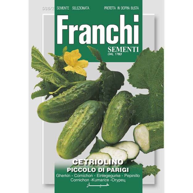 Image de Graines cornichon cetriolino piccolo di pirigi - Franchi