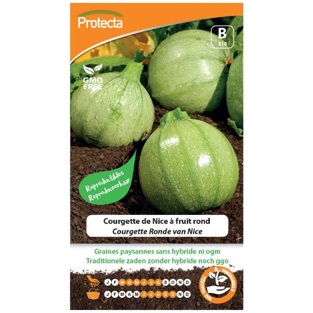 Image de Graines de courgette de nice à fruit rond - Protecta