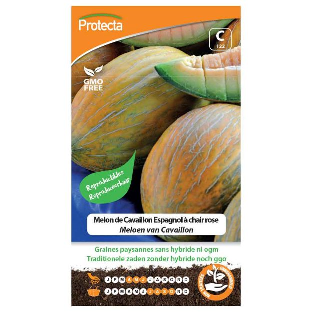 Image de Graines de melon de cavaillon espagnol à chair rose - Protecta