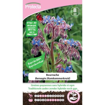 Agrandir l'image de SEMENCE DE  BOURRACHE. Image de SEMENCE DE  BOURRACHE.