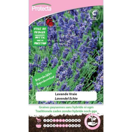 Agrandir l'image de SEMENCE DE  LAVANDE VRAIE. Image de SEMENCE DE  LAVANDE VRAIE.