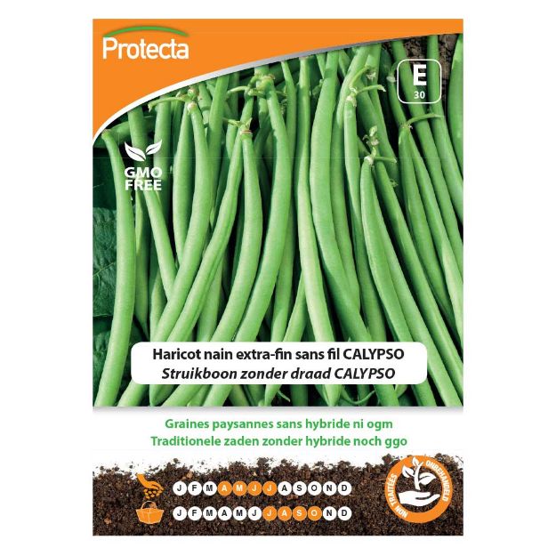 Image de Graines d'haricot nain extra-fin sans fil calypso - Protecta