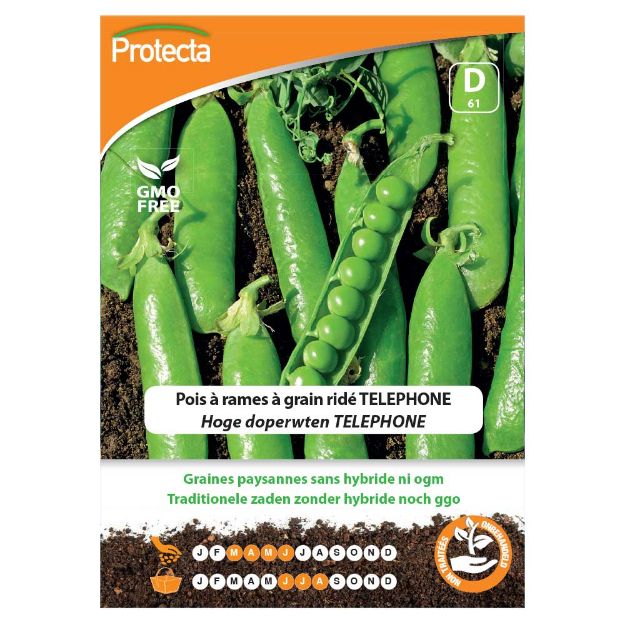 Image de Graines de pois à rames à grain ridé telephone - Protecta