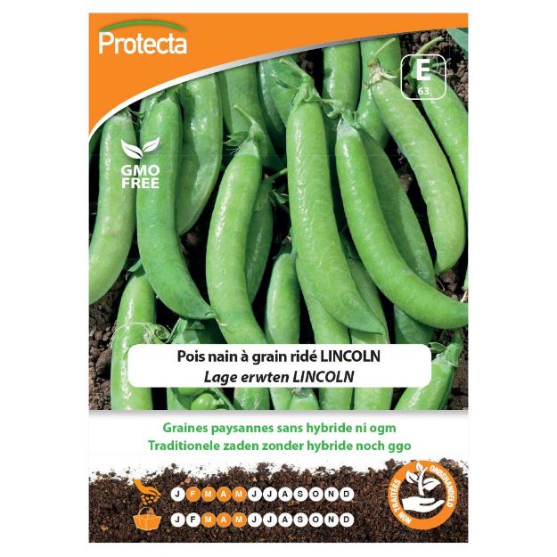 Image de Graines de pois nain à grain ridé lincoln - Protecta