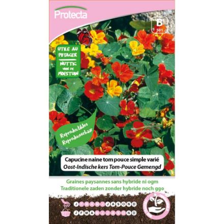 Agrandir l'image de SEMENCE DE  CAPUCINE NAINE TOM POUCE SIMPLE VARIÉ. Image de SEMENCE DE  CAPUCINE NAINE TOM POUCE SIMPLE VARIÉ.