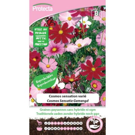 Agrandir l'image de SEMENCE DE  COSMOS SENSATION VARIÉ. Image de SEMENCE DE  COSMOS SENSATION VARIÉ.