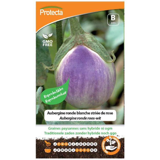 Image de Graines d'aubergine ronde blanche striée de rose - Protecta