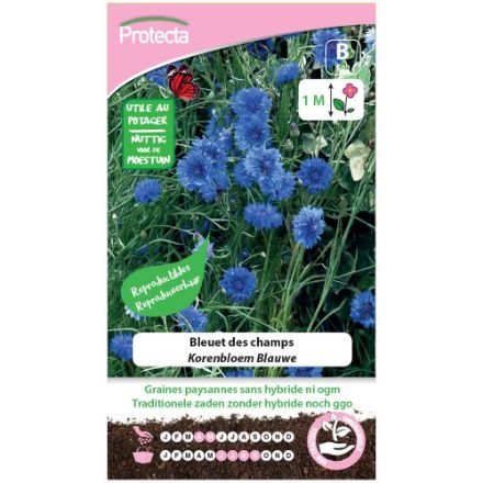Agrandir l'image de SEMENCE DE  BLEUET DES CHAMPS. Image de SEMENCE DE  BLEUET DES CHAMPS.
