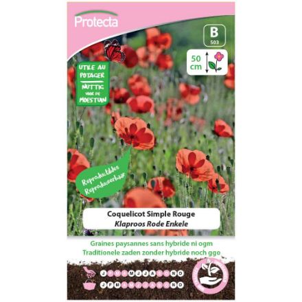 Agrandir l'image de SEMENCE DE  COQUELICOT SIMPLE ROUGE. Image de SEMENCE DE  COQUELICOT SIMPLE ROUGE.