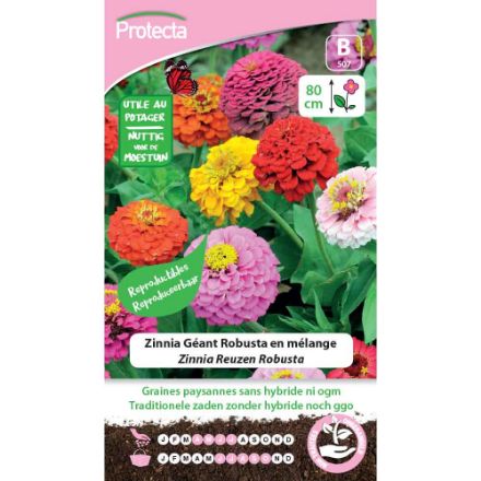 Agrandir l'image de SEMENCE DE  ZINNIA GÉANT ROBUSTA EN MÉLANGE. Image de SEMENCE DE  ZINNIA GÉANT ROBUSTA EN MÉLANGE.