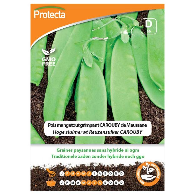 Image de Graines de pois mangetout grimpant carouby de maussane - Protecta