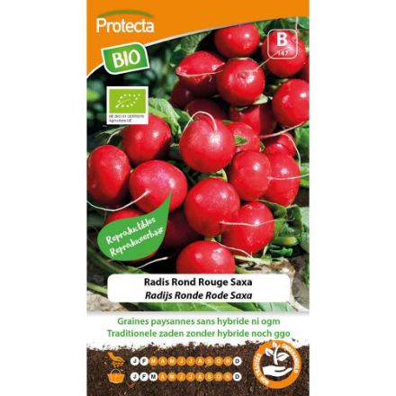 Agrandir l'image de Radis rond rouge Saxa BIO 147 Image de Radis rond rouge Saxa BIO 147