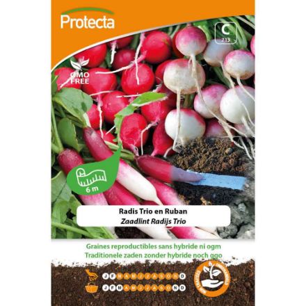 Agrandir l'image de Radis Trio en Mélange Ruban 6 m 713 Image de Radis Trio en Mélange Ruban 6 m 713