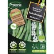 Image de Graines haricot vert grimpant neckarköningin fr-bio-15