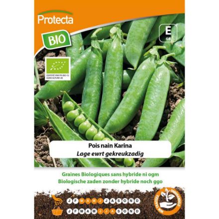 Agrandir l'image de Pois nain Karina  BIO 68 Image de Pois nain Karina  BIO 68