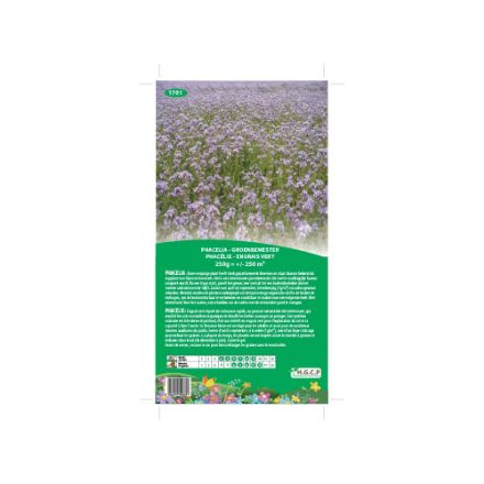 Agrandir l'image de Semences de phacelie /250m2 Image de Semences de phacelie /250m2