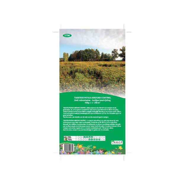 Image de Semences de tagetes patula ground control /250m2