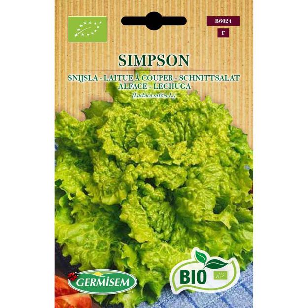 Image de Graines bio de laitue à couper simpson à Graines bio noires