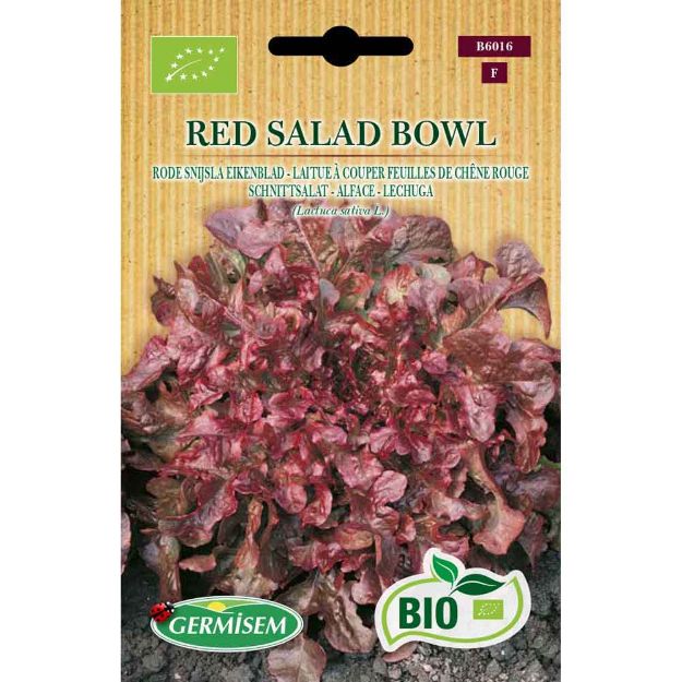 Image de Graines bio de laitue feuilles de chêne salad bowl rouge