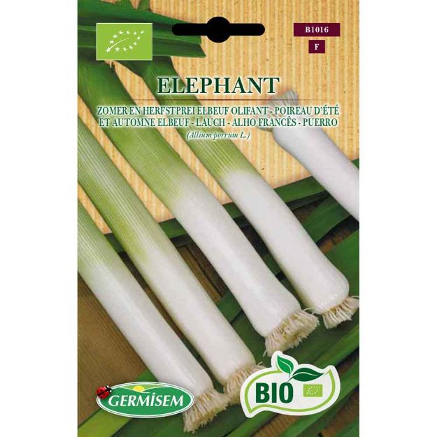 Image de Graines bio de poireau d'été et automne elbeuf eléphant