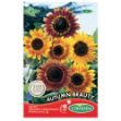 Image de Graines d'helianthus (soleil) autumn beauty