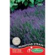 Image de Graines de lavande angustifolia munstead strain
