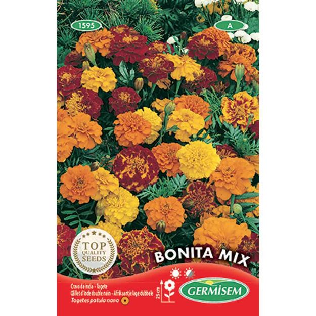 Image de Graines de tagète double bonita varié