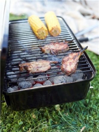 Agrandir l'image de Barbecue Go-Anywhere® charbon - WEBER® Image de Barbecue Go-Anywhere® charbon - WEBER®
