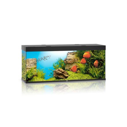 Agrandir l'image de Aquarium RIO 450 LED (2x led 1200mm) NOIR  JUWEL Image de Aquarium RIO 450 LED (2x led 1200mm) NOIR  JUWEL