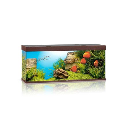 Agrandir l'image de Aquarium RIO 450 LED (2x led 1200mm) NOIR  JUWEL Image de Aquarium RIO 450 LED (2x led 1200mm) NOIR  JUWEL