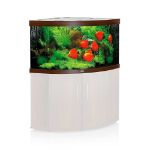 Image de Aquarium TRIGON 350 LED (2x led 438mm + 2x led 895mm) NOIR  JUWEL