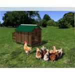 Image de POULAILLER EN HPL POLLY TAGLIA XL 95*110*100CM