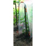 Image de CLIP 13 mm (10)  pour tuteurs tomates arches orange