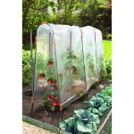 Image de CLIP 13 mm (10)  pour tuteurs tomates arches orange