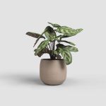 Image de CACHE-POT HEMERA 29CM TAUPE