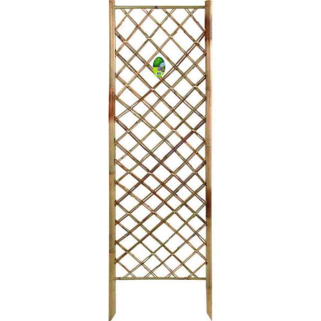 Image de BAMBOO PANEL  décor bambou à planter  0,50x1,70m