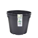 Image de CONTENEUR - 5L  - 2 X