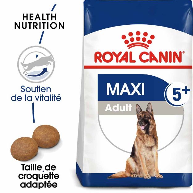 Image de SHN Maxi Adult 5+ 4kg
