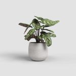 Image de CACHE-POT HEMERA 39CM CRÈME