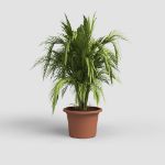 Image de POT VENEZIA CILINDRO 20CM terre
