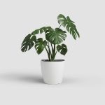 Image de POT SAN REMO MATE 12CM BLANC