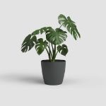 Image de POT SAN REMO MATE 25CM ANTHRACITE