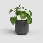Image de CACHE-POT LUNA 12CM ANTHRACITE