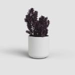 Image de CACHE-POT JUNO 14CM BLANC