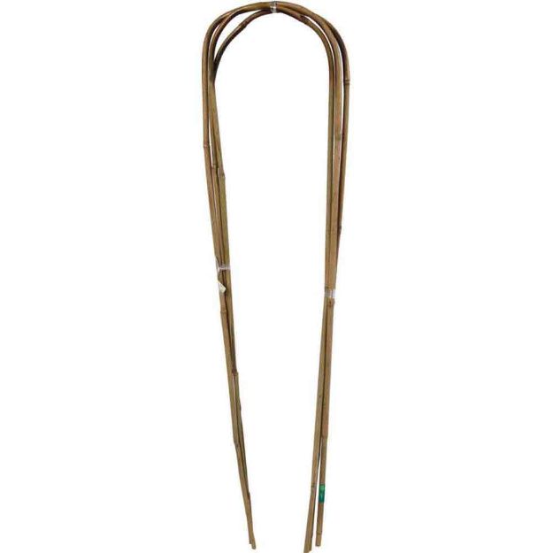 Image de 3  ARC BAMBOO 3 Tuteurs arceaux bambou  0,90m