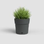 Image de POT CAPRI LARGE RÉS. EAU 20CM ANTHRACITE