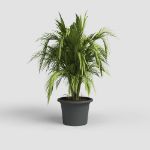 Image de POT VENEZIA CILINDRO 60CM ANTHRACITE