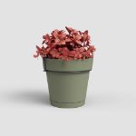 Image de KIT BALCON POT CAPRI RÉS.EAU 20CM VERT CENDRÉ
