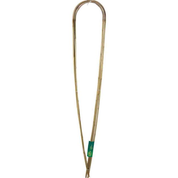 Image de 3  ARC BAMBOO 3 Tuteurs arceaux bambou  1,20m
